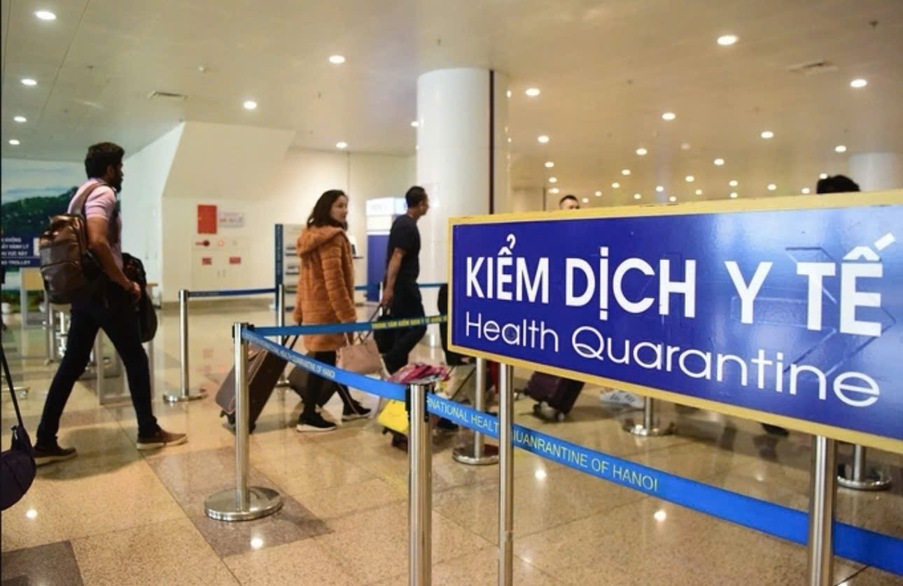 Bộ Y tế khuyến cáo không ăn trái cây bị dơi, chim cắn để phòng virus Nipah