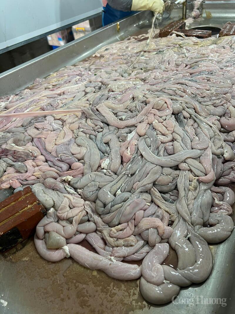 Cận cảnh kho lạnh ở Hà Nội trữ gần 60 tấn lòng lợn không rõ nguồn gốc