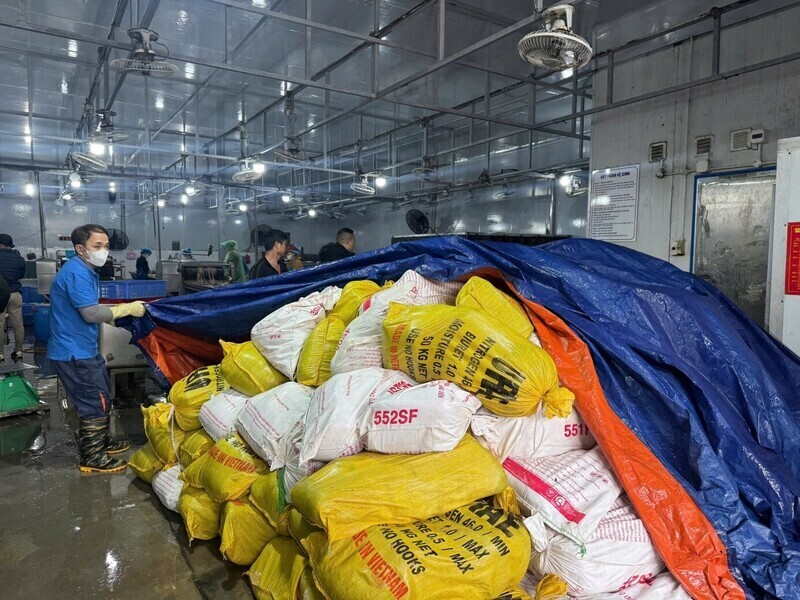 Hà Nội liên tiếp xử lý thực phẩm không rõ nguồn gốc số lượng lớn