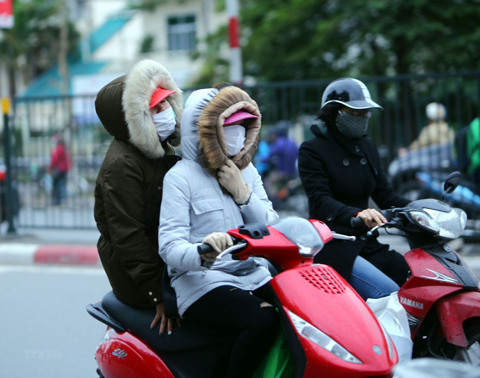 Thời tiết ngày 1/2: Không khí lạnh bao trùm, miền Bắc rét đậm