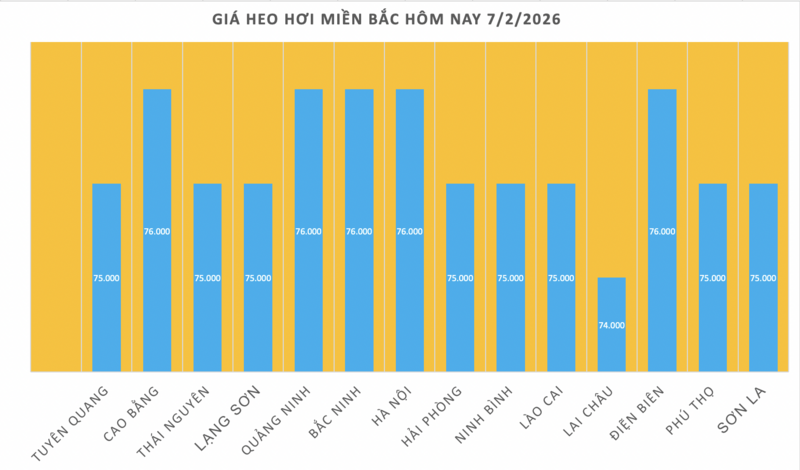 Giá heo hơi hôm nay 7/2/2026: Tiếp đà giảm tại miền Trung, miền Nam