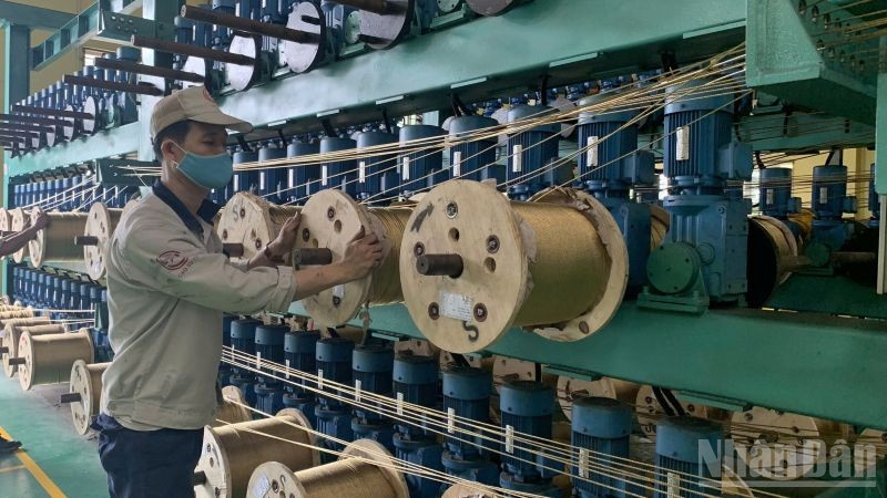 Tháng 1/2026, cả nước có hơn 24,5 nghìn doanh nghiệp quay trở lại hoạt động