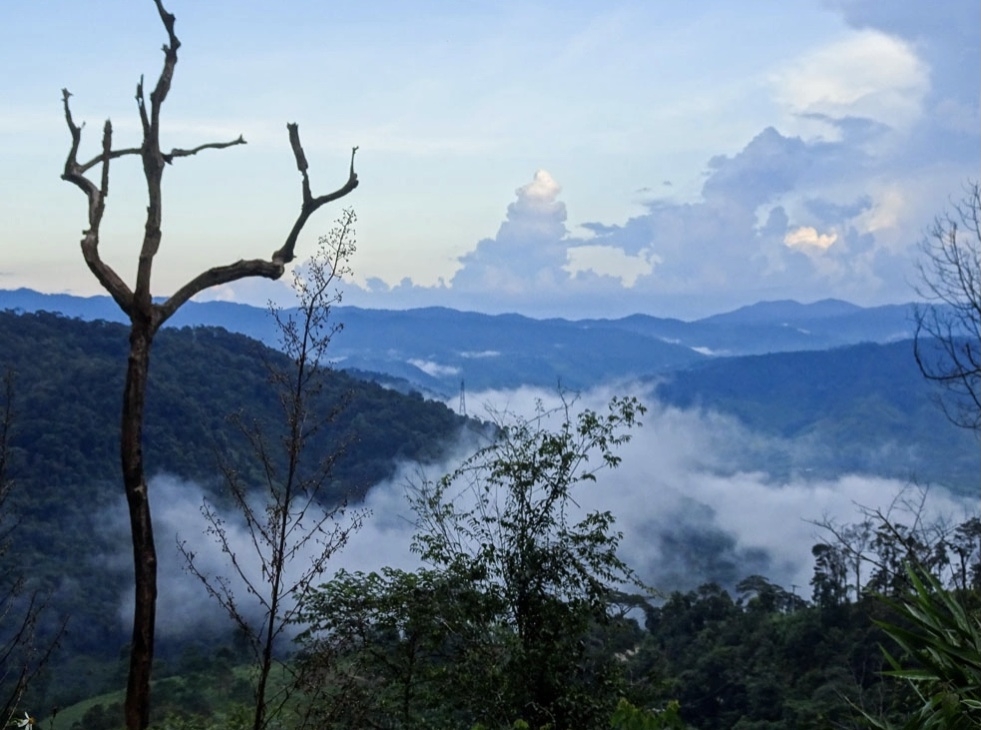 Hơn 27.000 tỷ đồng đầu tư vào 3 khu đô thị tại Măng Đen, Quảng Ngãi