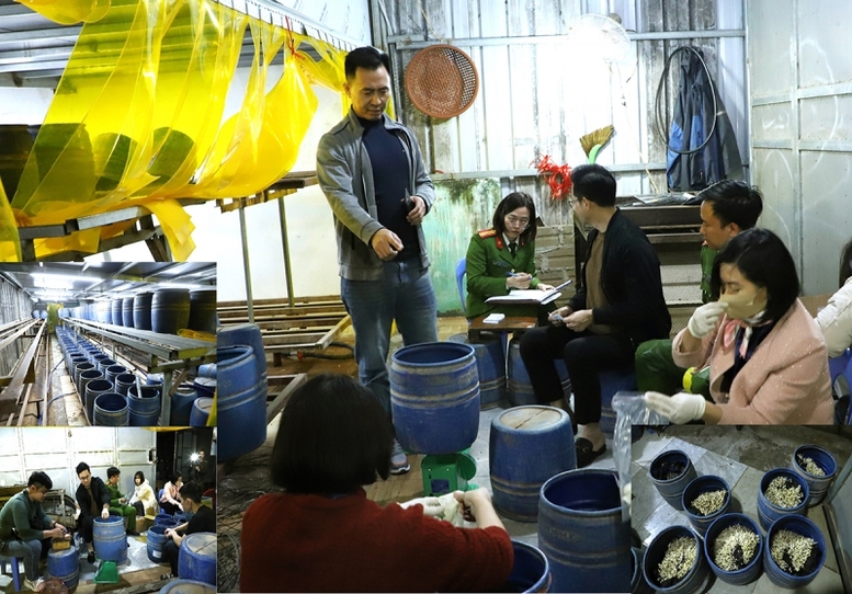 Triệt phá cơ sở dùng chất cấm "nước kẹo" sản xuất giá đỗ