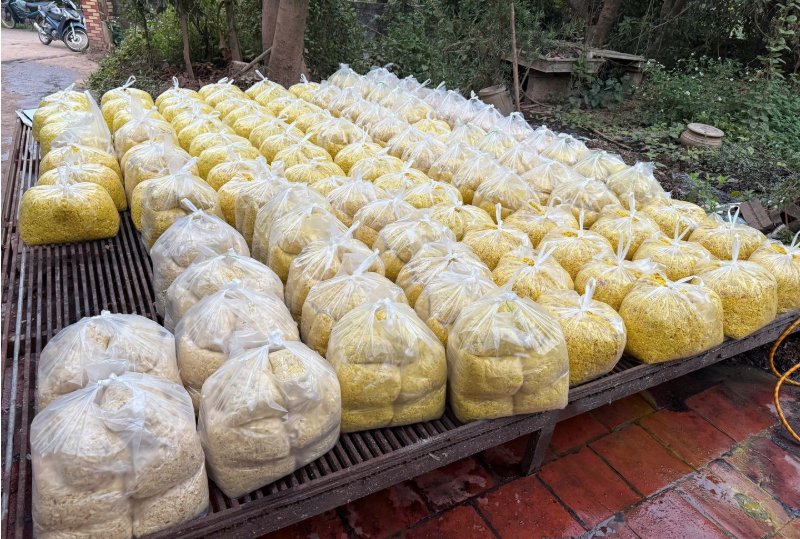 Bắt tạm giam chủ cơ sở trộn chất cấm chế biến riềng xay