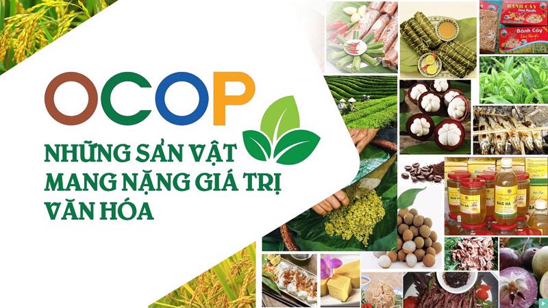 OCOP và du lịch nông thôn tạo bứt phá: Gần 17.400 sản phẩm đạt chuẩn, doanh thu hàng chục nghìn tỷ đồng mỗi năm