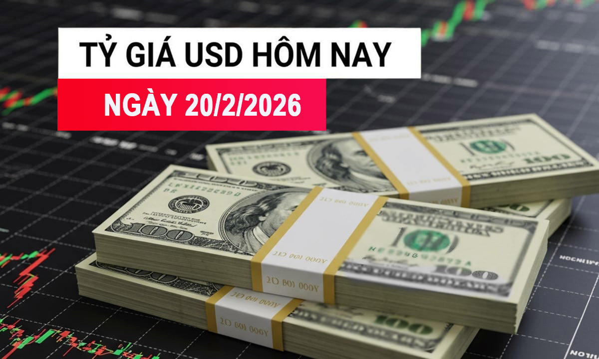 Tỷ giá USD hôm nay 20/2: Trong nước đi ngang, thế giới tăng nhẹ