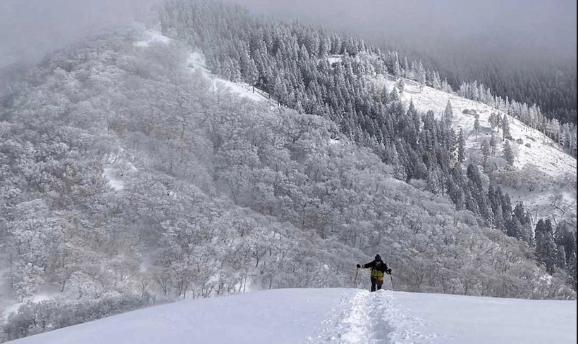 Lao động Việt Nam thiệt mạng khi leo núi tại Nhật Bản