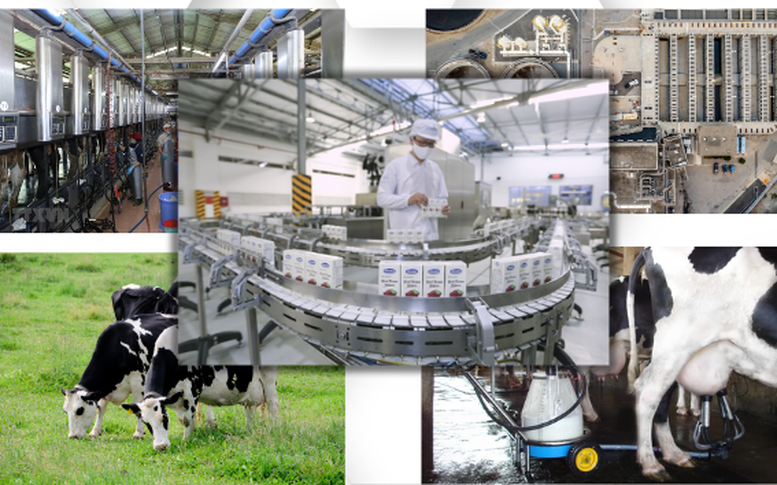 Phát triển bền vững và xanh hóa ngành công nghiệp chế biến sữa
