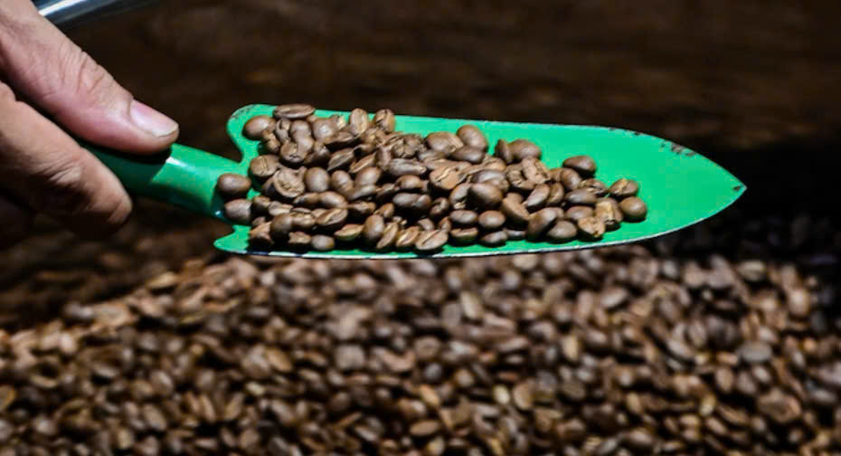 Mở hàng đầu năm, nhiều thị trường chi gấp 3-4 lần mua cà phê Việt