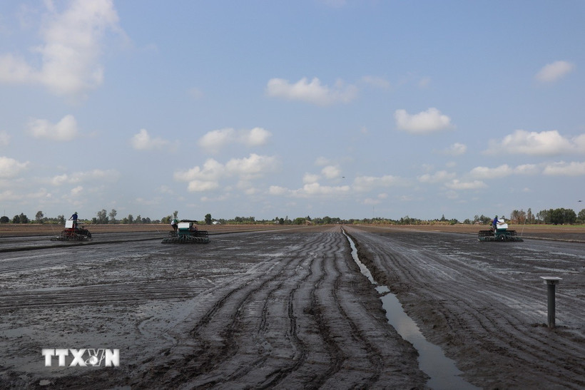 Xâm nhập mặn ở Đồng bằng sông Cửu Long có thể vào sâu 60km trong tháng 3