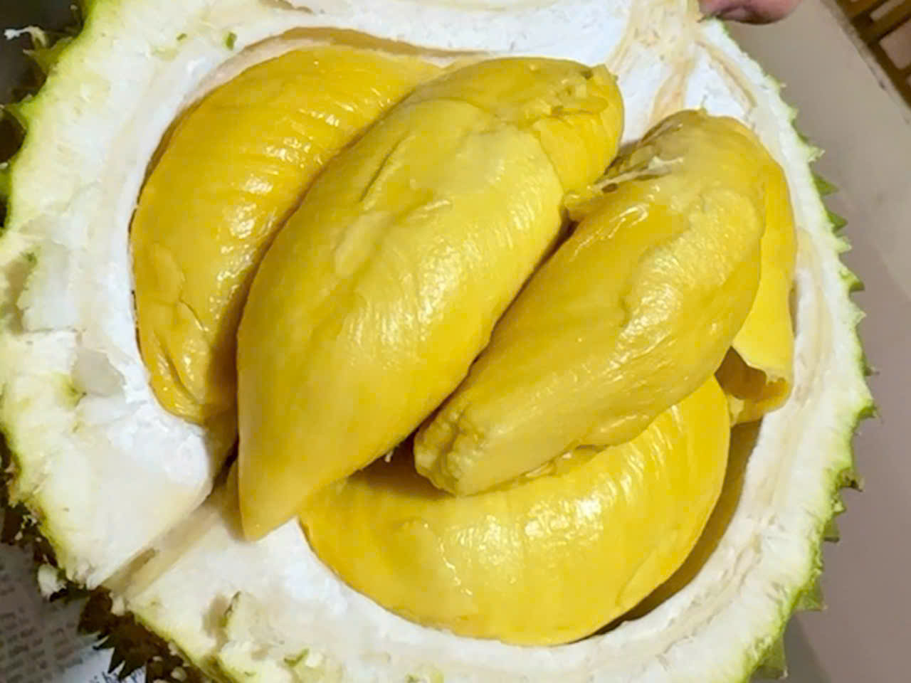 Giá sầu riêng hôm nay 4/3: Thị trường ổn định