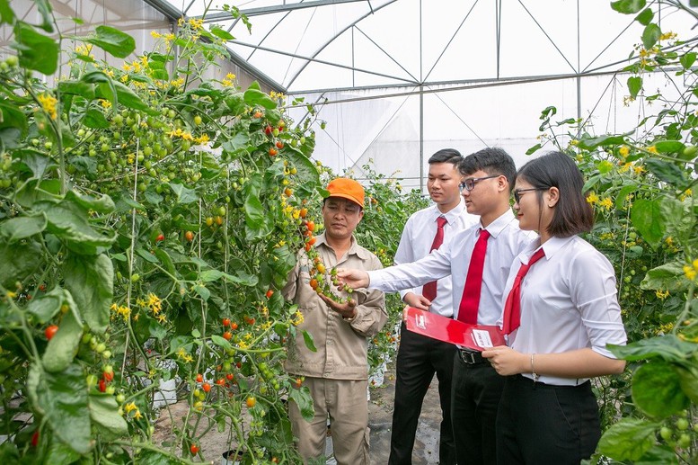 Agribank chủ động v&agrave; t&iacute;ch cực đầu tư ph&aacute;t triển n&ocirc;ng nghiệp xanh