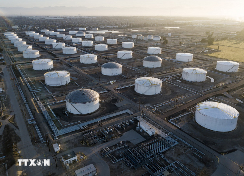 Nhật Bản ủng hộ phối hợp xả kho dầu giữa các nước thành viên IEA