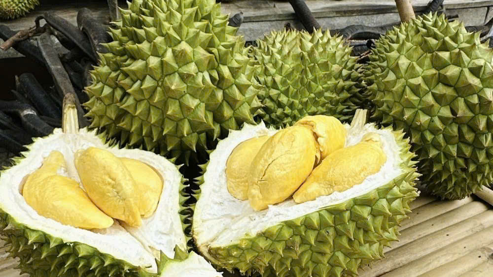 Giá sầu riêng hôm nay 12/3: Duy trì mức cao