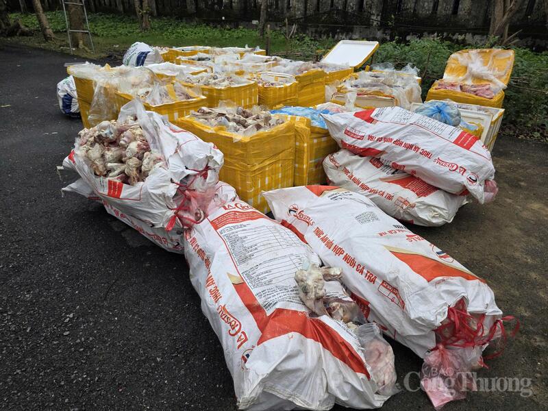 Thu giữ hơn 2,6 tấn sản phẩm động vật không rõ nguồn gốc