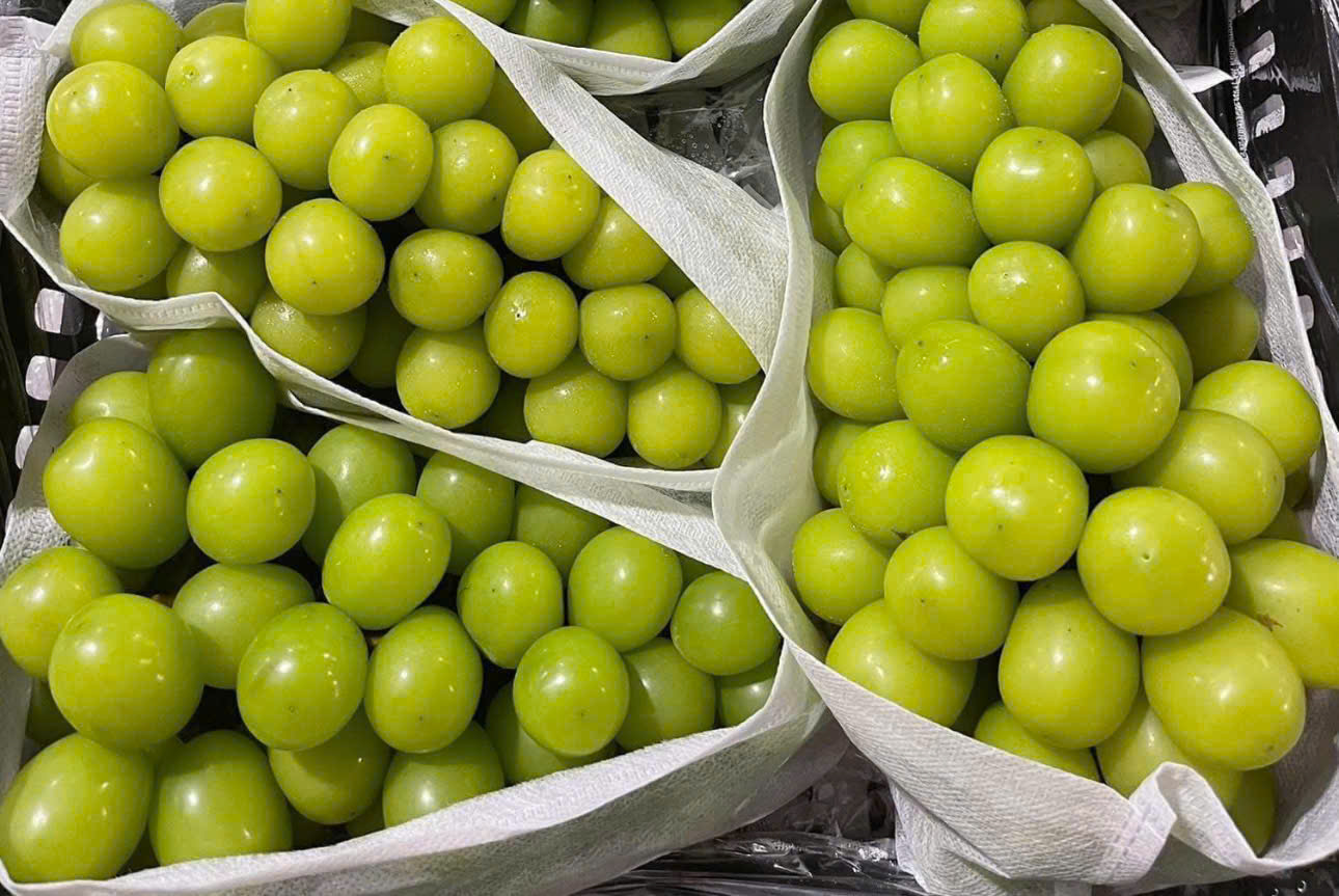 B&aacute;n nho sang Việt Nam, Trung Quốc thu về 220 triệu USD trong năm 2025.