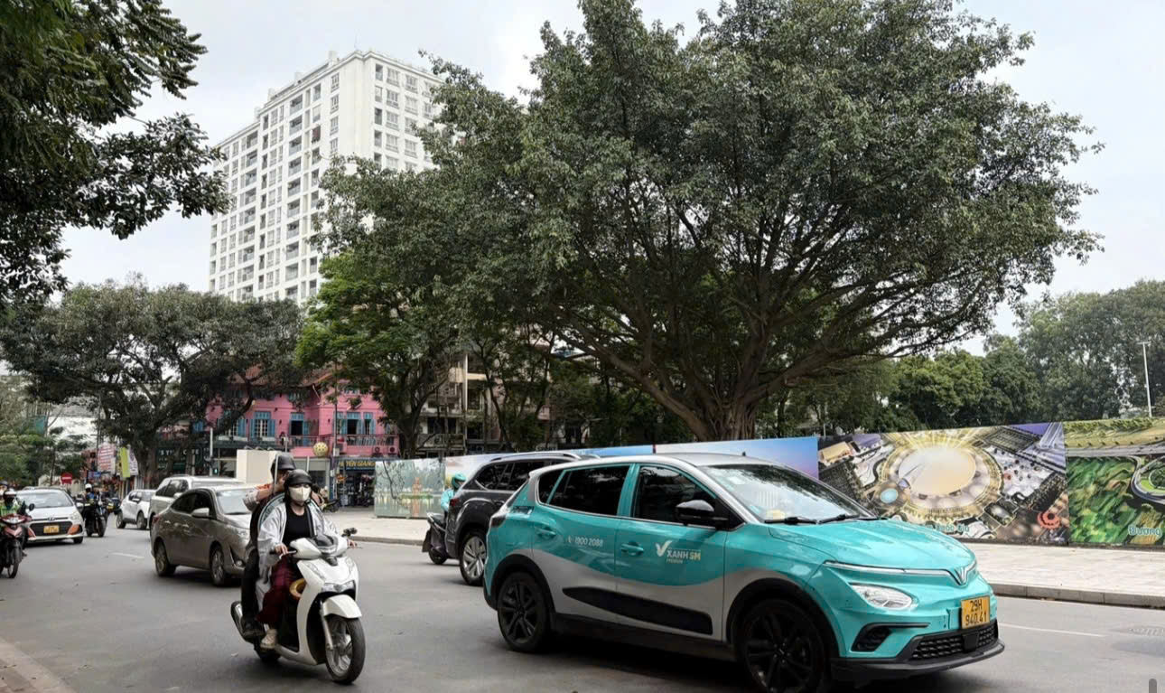 Đường Nguyễn Th&aacute;i Học buổi s&aacute;ng trong tuần vắng b&oacute;ng xe b&aacute;n tải (Ảnh: Hội An)