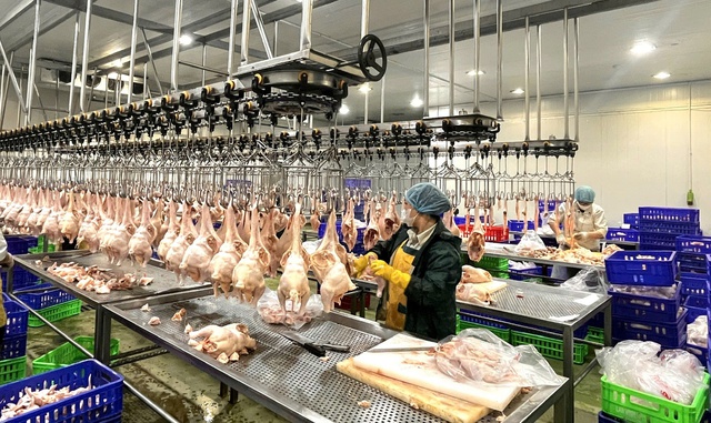 Siết chặt quản lý giết mổ nhỏ lẻ để bảo đảm an toàn thực phẩm