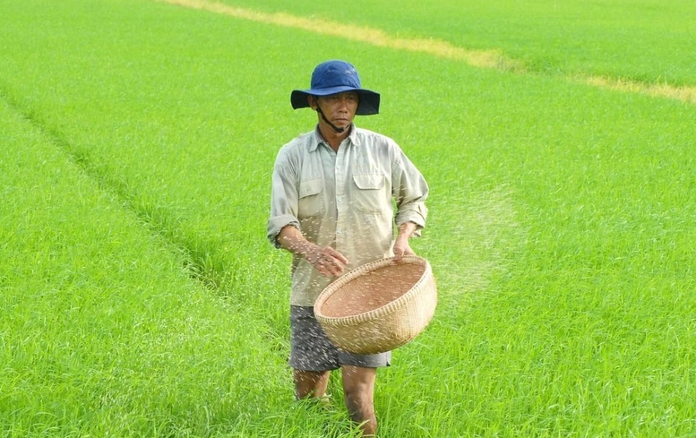 Một số doanh nghiệp ph&acirc;n b&oacute;n đang c&acirc;n nhắc rất kỹ lưỡng khi bất buộc phải tăng gi&aacute; ph&acirc;n b&oacute;n trong thời điểm n&agrave;y để c&oacute; thể chia sẻ với những kh&oacute; khăn của n&ocirc;ng d&acirc;n. Ảnh: L&ecirc; Ho&agrave;ng Vũ.