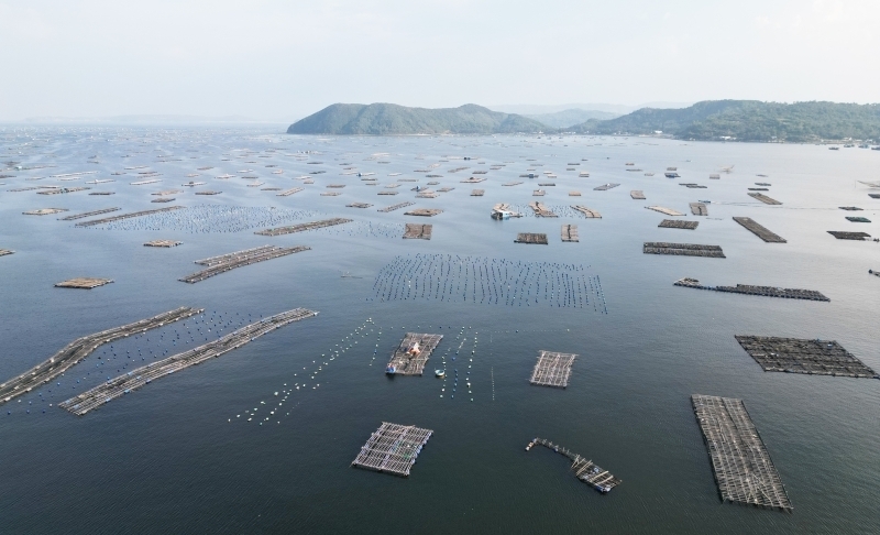 Khuyến khích khai thác xa bờ: Thu tiền sử dụng biển giảm dần theo khoảng cách từ bờ ra biển