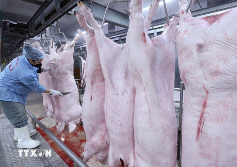 Bộ Y tế: Siết chặt kiểm tra bếp ăn tập thể, trường học ngăn "thực phẩm bẩn"