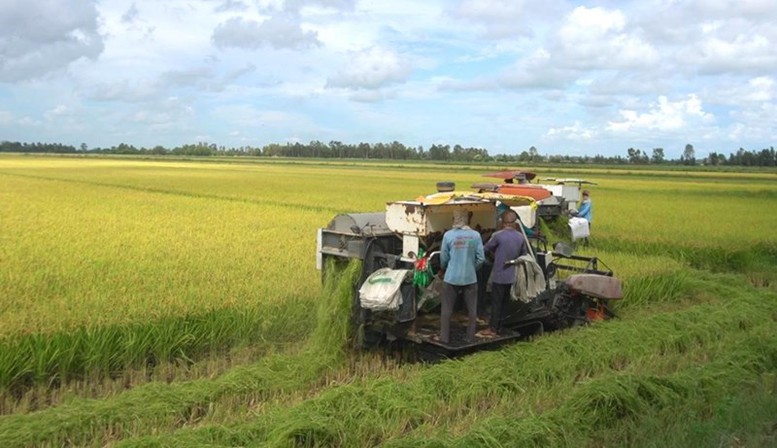 Xuất khẩu nông, lâm, thủy sản quý I đạt gần 16,7 tỷ USD