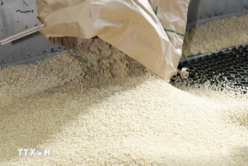 Dự báo giá gạo toàn cầu có thể tăng mạnh