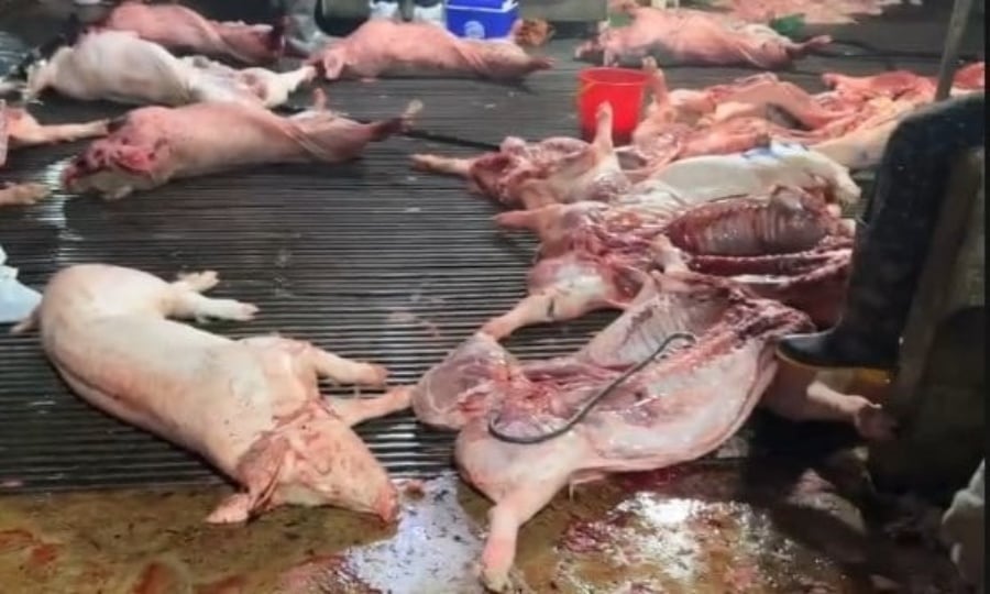 Siết quản lý an toàn thực phẩm: Cấp bách gỡ “điểm nghẽn” cơ chế