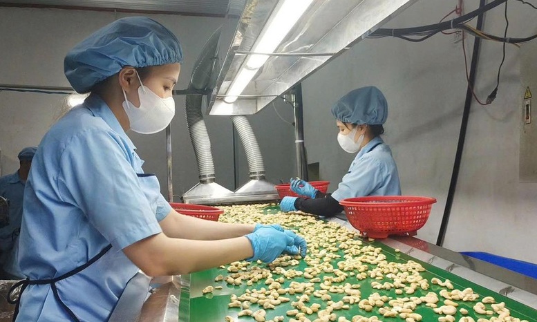 Nông sản xuất khẩu: Chủ động trước 'cú sốc' Trung Đông