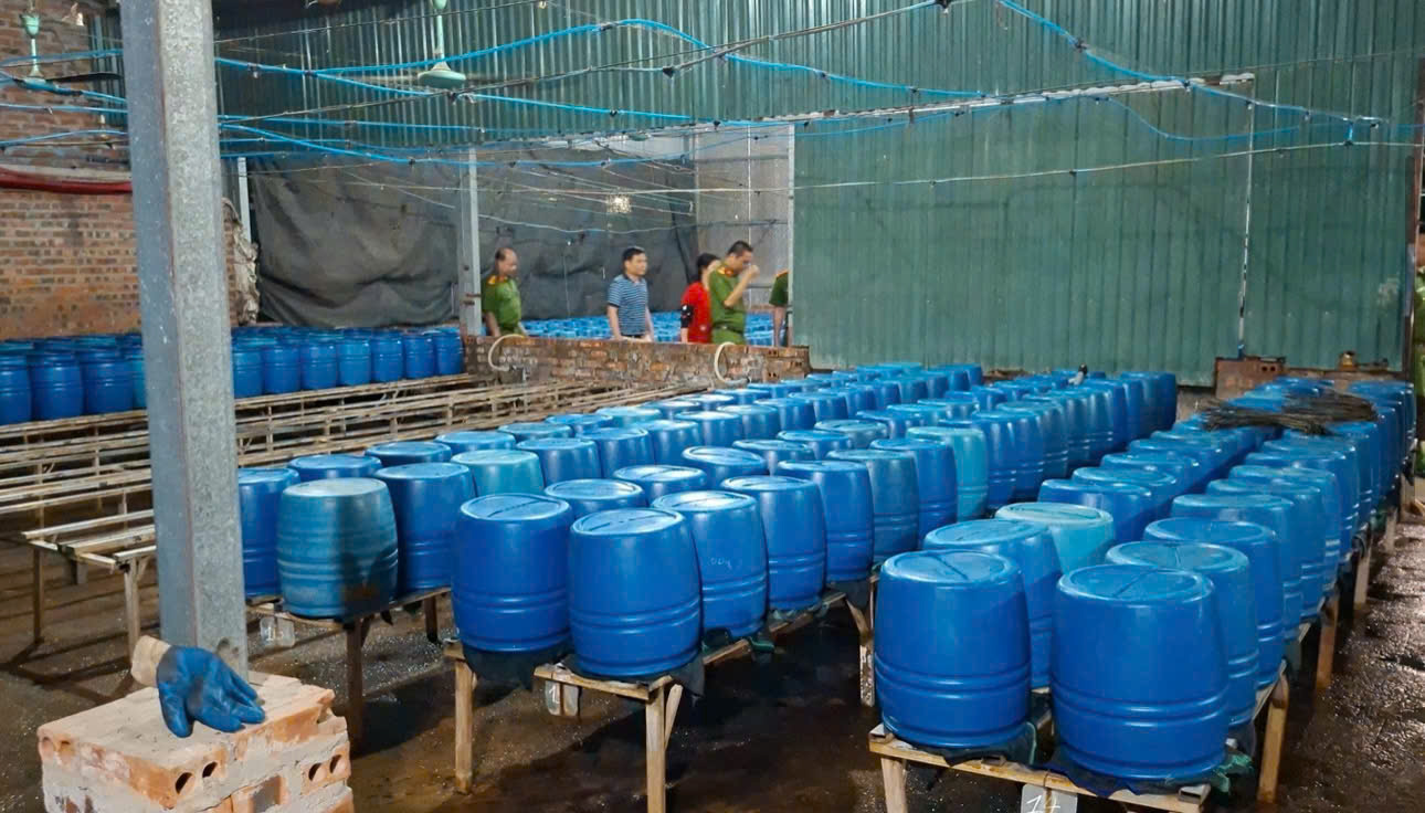 Khởi tố bị can sản xuất 510 tấn giá đỗ chứa chất cấm