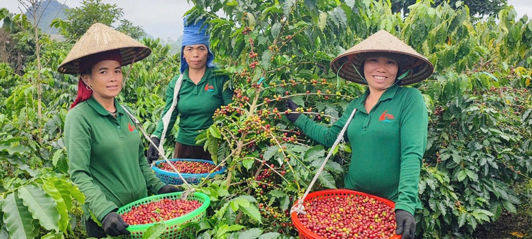 Việt Nam ho&agrave;n to&agrave;n c&oacute; thể x&acirc;y dựng những chuỗi gi&aacute; trị n&ocirc;ng nghiệp c&oacute; quy m&ocirc; lớn, c&oacute; dữ liệu truy xuất r&otilde; r&agrave;ng v&agrave; đ&aacute;p ứng đầy đủ c&aacute;c y&ecirc;u cầu về ph&aacute;t triển bền vững - Ảnh: VGP/LT