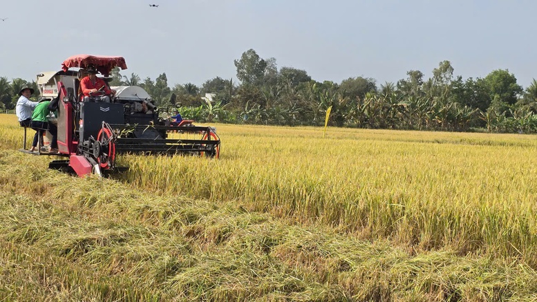 Th&iacute; điểm m&ocirc; h&igrave;nh Đề &aacute;n 1 triệu hecta l&uacute;a chất lượng cao, ph&aacute;t thải thấp tại Hợp t&aacute;c x&atilde; G&ograve; G&ograve;n (T&acirc;y Ninh) đạt 10 tấn/ha - Ảnh: VGP/LS