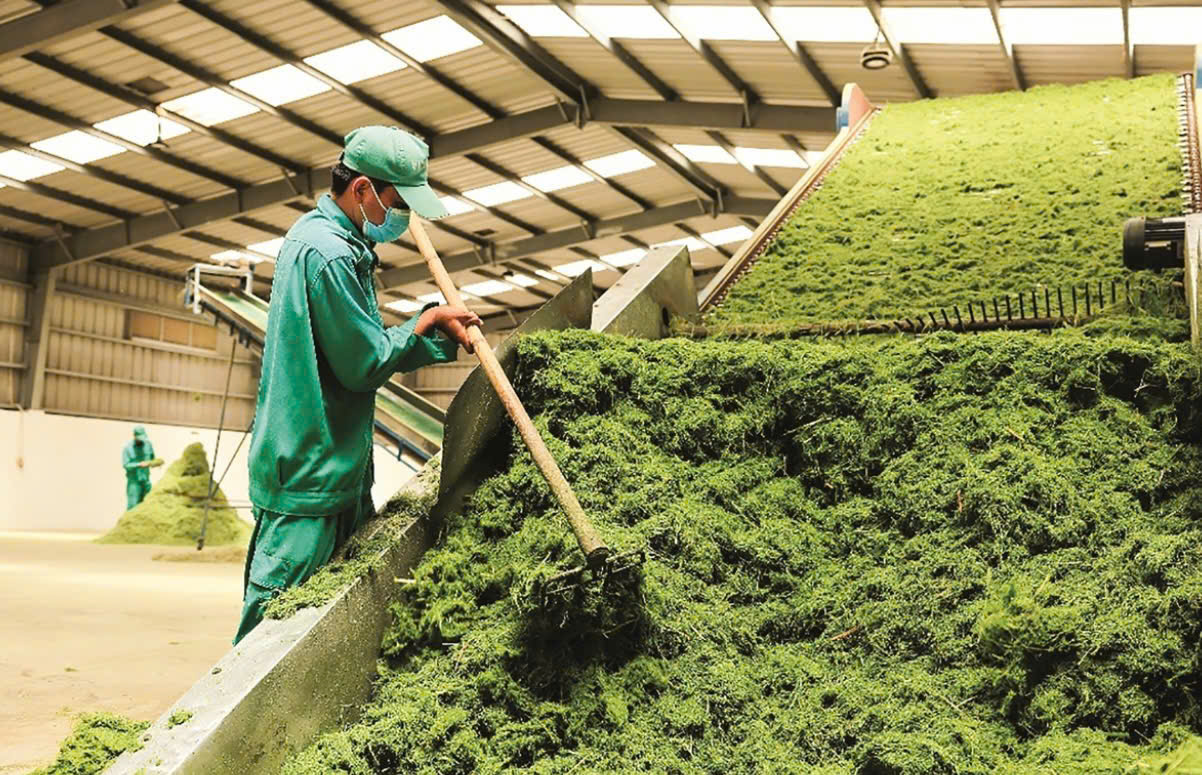 Văn hóa doanh nghiệp – “mỏ vàng vô hình” nâng cao hiệu quả và lợi nhuận