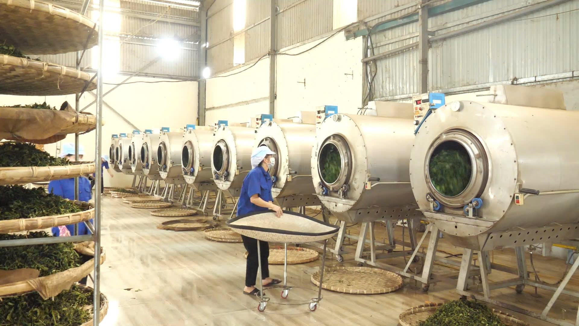 Lào Cai thúc đẩy công nghiệp nông thôn bằng chương trình khuyến công năm 2026