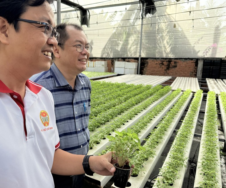 Ứng dụng c&ocirc;ng nghệ cao trong n&ocirc;ng nghiệp gi&uacute;p nhiều sản phẩm n&acirc;ng cả về chất lượng v&agrave; gi&aacute; trị - Ảnh: VGP/Đỗ Hương