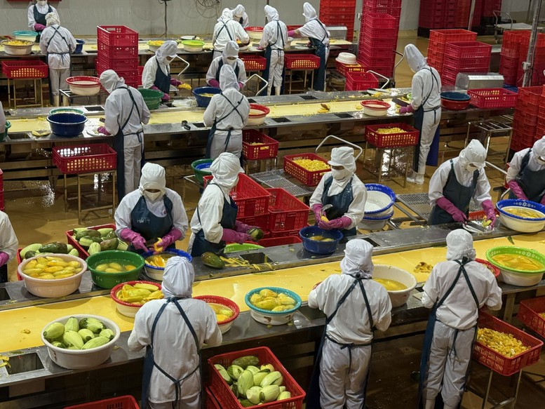 "Trụ đỡ" nông nghiệp trước áp lực giá: Cần chuyển mạnh từ sản lượng sang giá trị