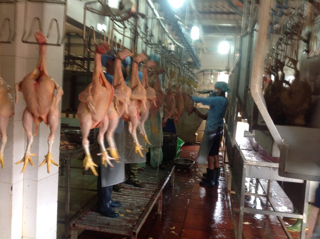 Siết chặt quản lý giết mổ, hướng tới xóa bỏ cơ sở nhỏ lẻ ở ngoại thành