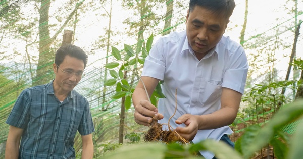 Nông nghiệp xanh, chuyển đổi số: Động lực mới cho tăng trưởng vùng biên