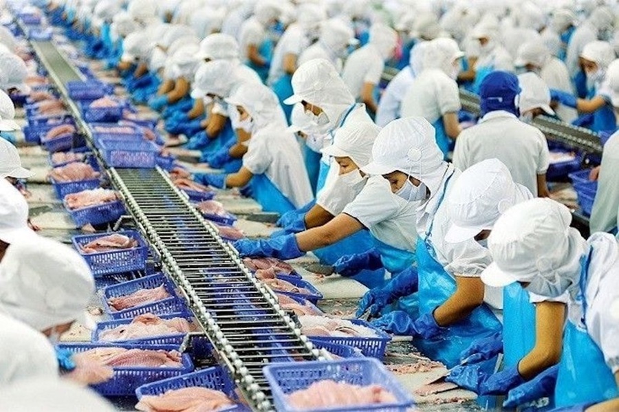 Thủy sản Việt Nam trước ngưỡng bứt phá: Cơ hội lớn nhưng không dễ nắm bắt
