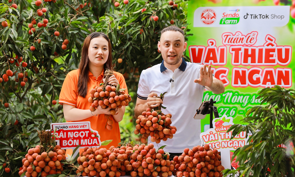 Vải thiều Bắc Ninh “lên sóng” mùa vụ: Mở rộng đầu ra nhờ thương mại điện tử