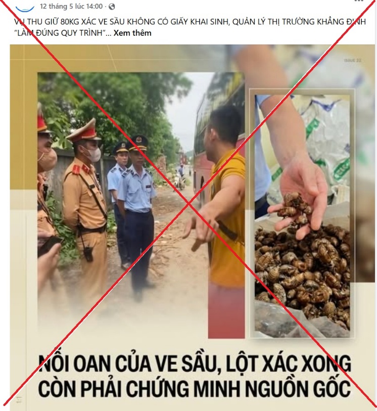 Cảnh giác thông tin xuyên tạc vụ kiểm tra lô hàng ve sầu khô ở Lạng Sơn