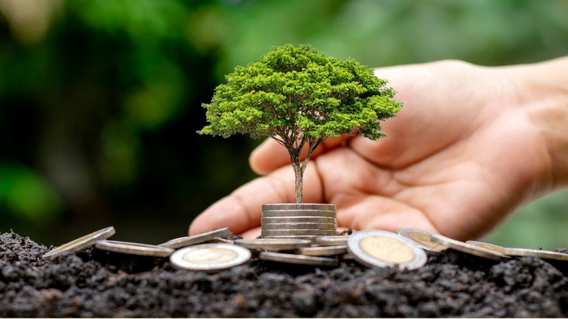 Lãi tăng vọt, doanh nghiệp xây dựng quyết định chia cổ tức tỷ lệ 120%