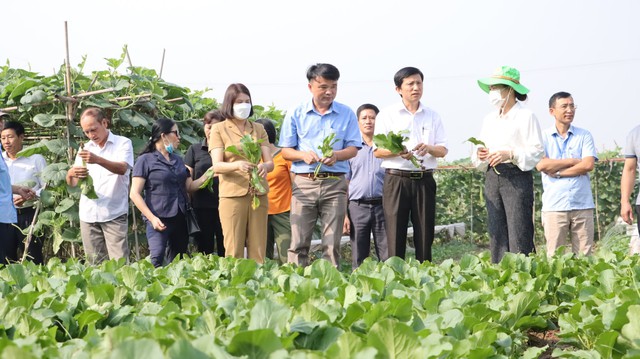 Hà Nội tăng cường chuỗi giá trị cây trồng an toàn, thúc đẩy nông nghiệp xanh