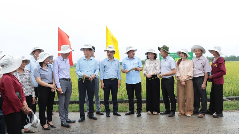 L&atilde;nh đạo ng&agrave;nh n&ocirc;ng nghiệp H&agrave; Nội tham quan m&ocirc; h&igrave;nh sản xuất l&uacute;a chất lượng cao x&atilde; Đại Xuy&ecirc;n - Ảnh: VGP/Thiện T&acirc;m