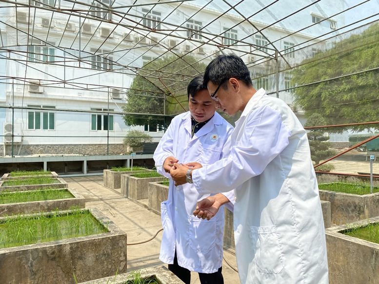 KHCN trong nông nghiệp: Chuyển từ tư duy 'làm đề tài' sang 'tạo sản phẩm'