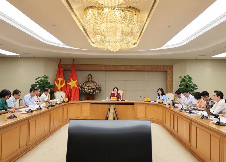 Ph&oacute; Thủ tướng Phạm Thị Thanh Tr&agrave; chủ tr&igrave; cuộc họp - Ảnh: VGP/Thu Giang