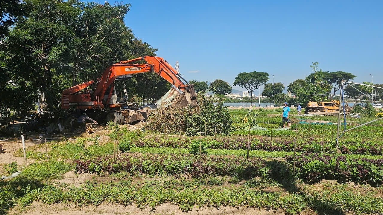 Khu đất triển khai dự &aacute;n đang được dọn dẹp.