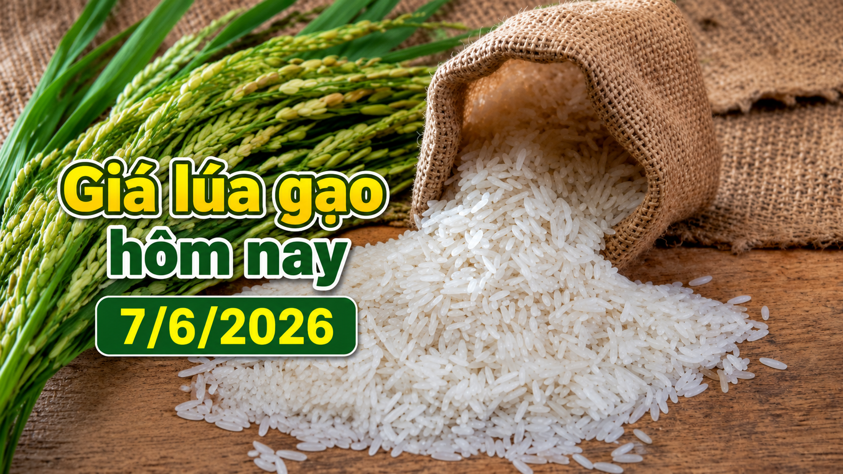 Giá lúa gạo hôm nay 7/6: Giao dịch chậm, gạo xuất khẩu giữ giá