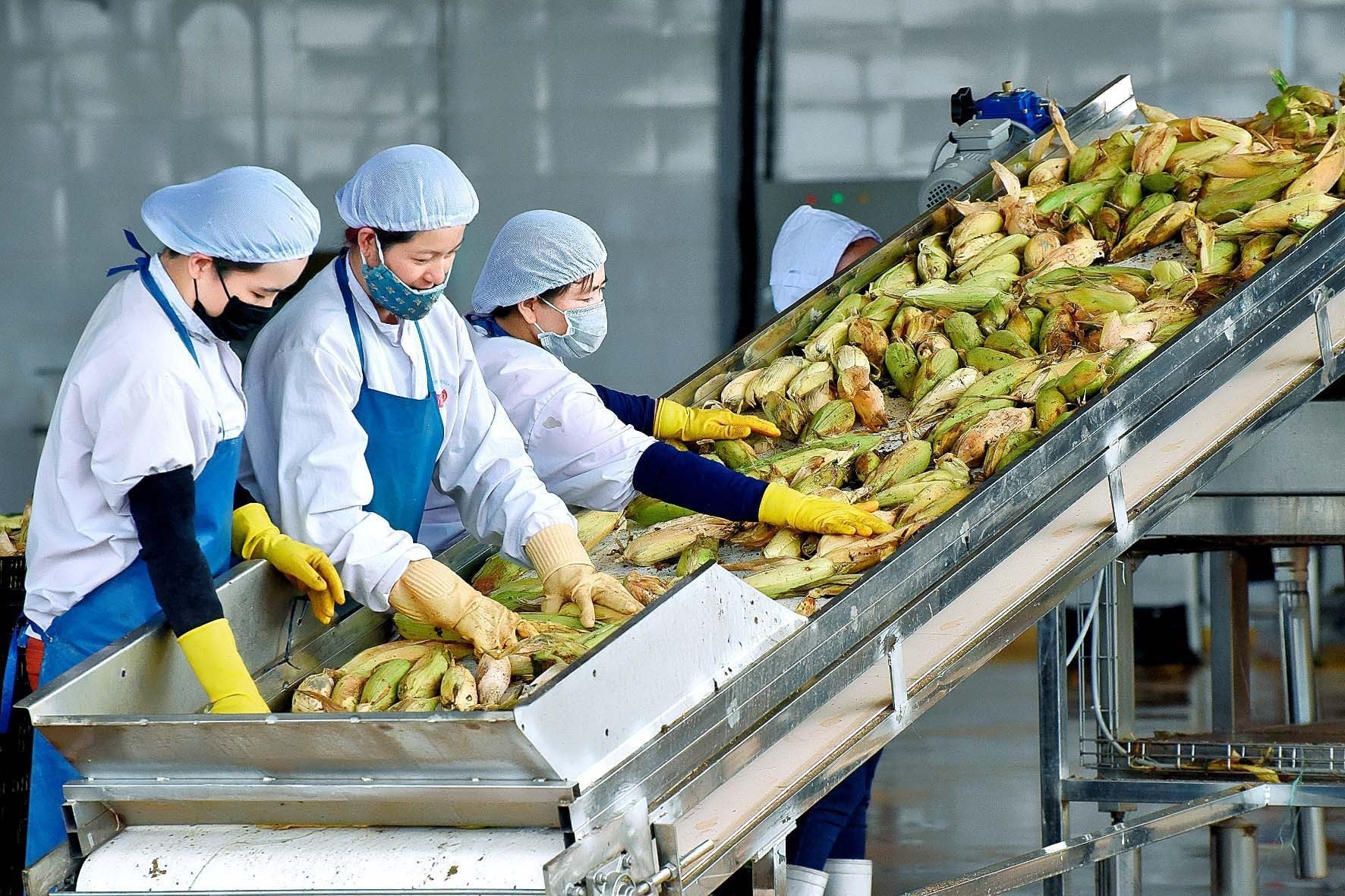 Nông sản Việt trước mục tiêu xuất khẩu 10-12% mỗi năm